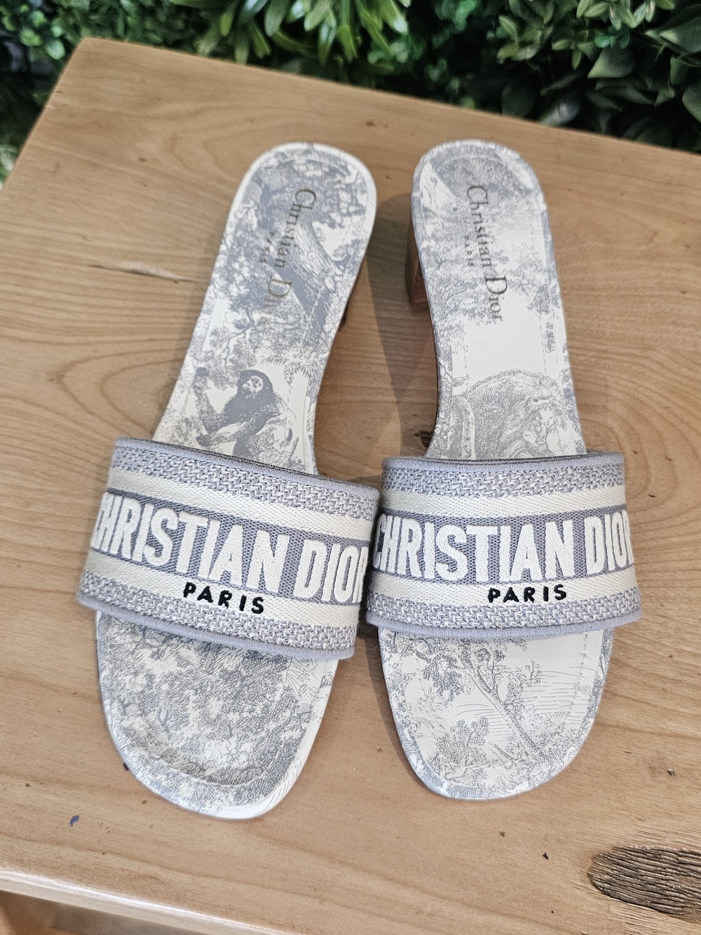 Dior Women Gray Logo Slide Sandals
